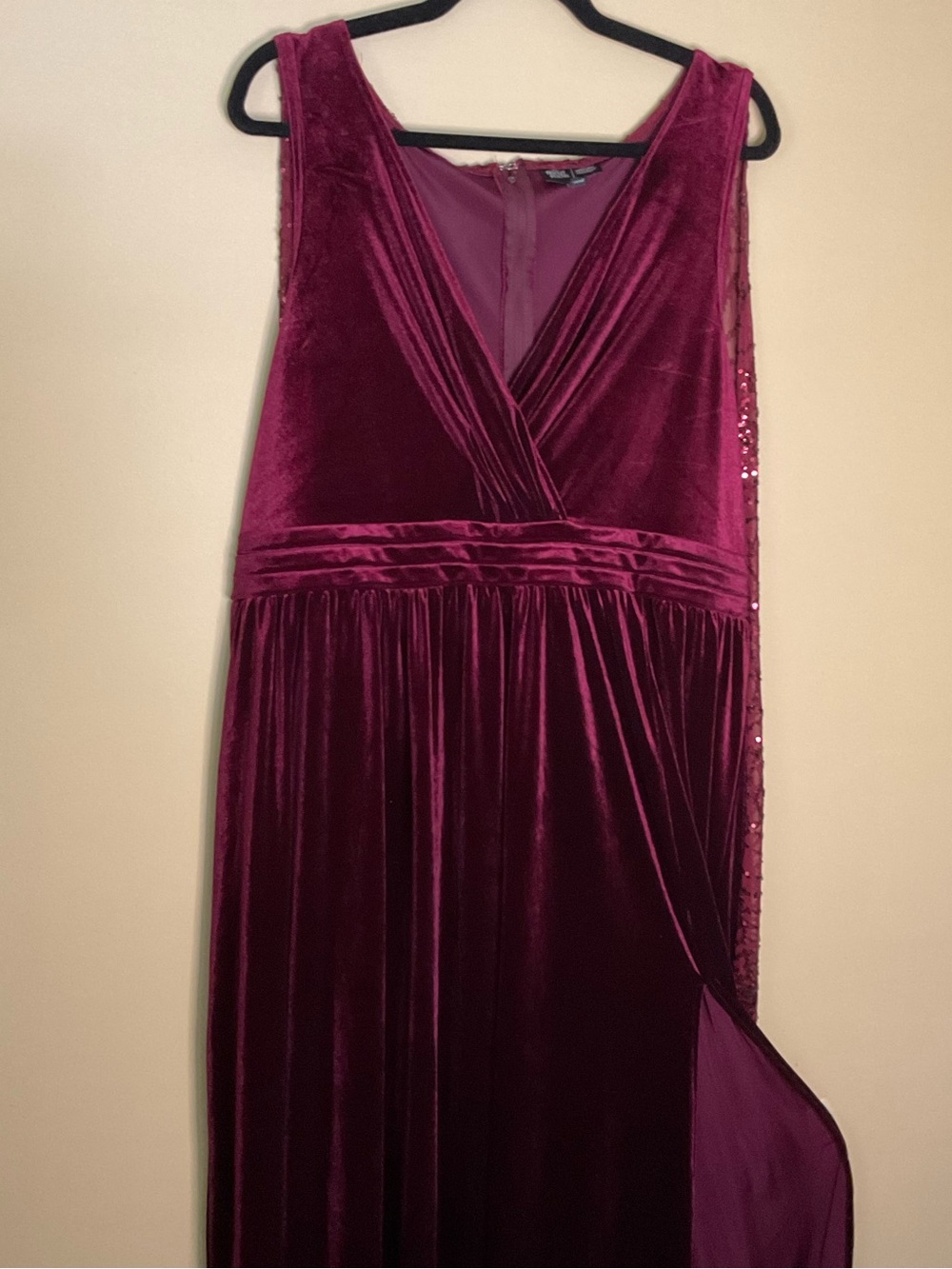 Disney Hocus Pocus Plus Size Burgundy Velvet Costume